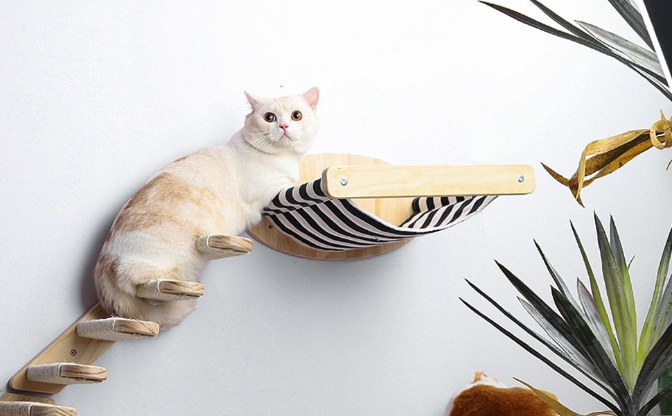 PLACE Assorted Wooden Wall-Mounted Cat Furniture