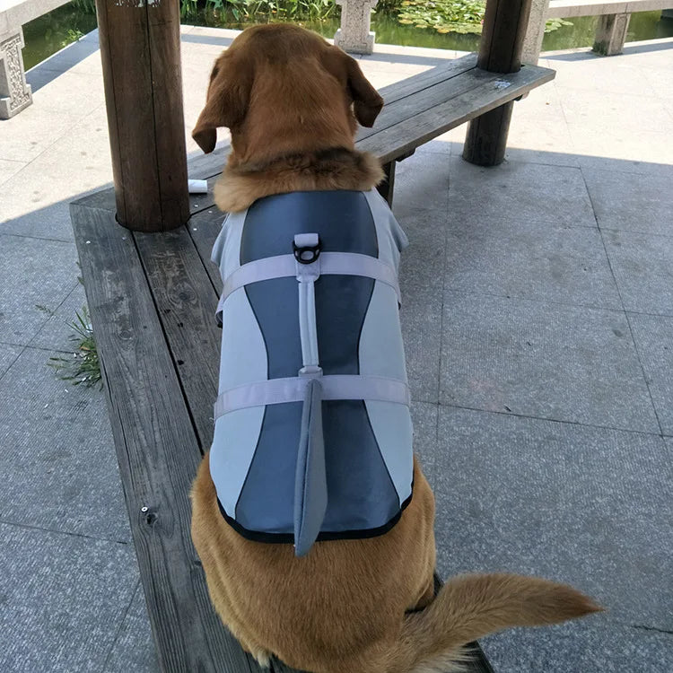 back view of golden retriever dog wearing shark style lifejacket