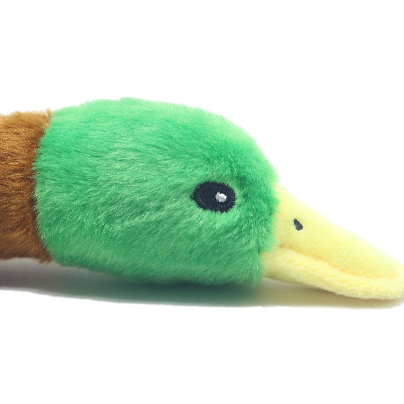 close up of duck toy head