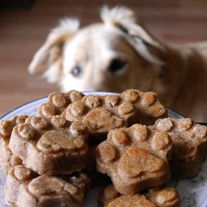 treats on a plate presented to dog