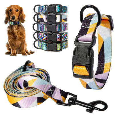 dog collar and leash set