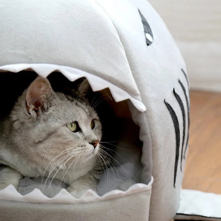 Close up of gray cat bed with cat