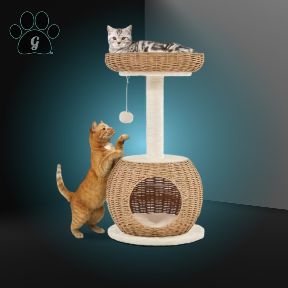 rattan cat tree that fits two cats