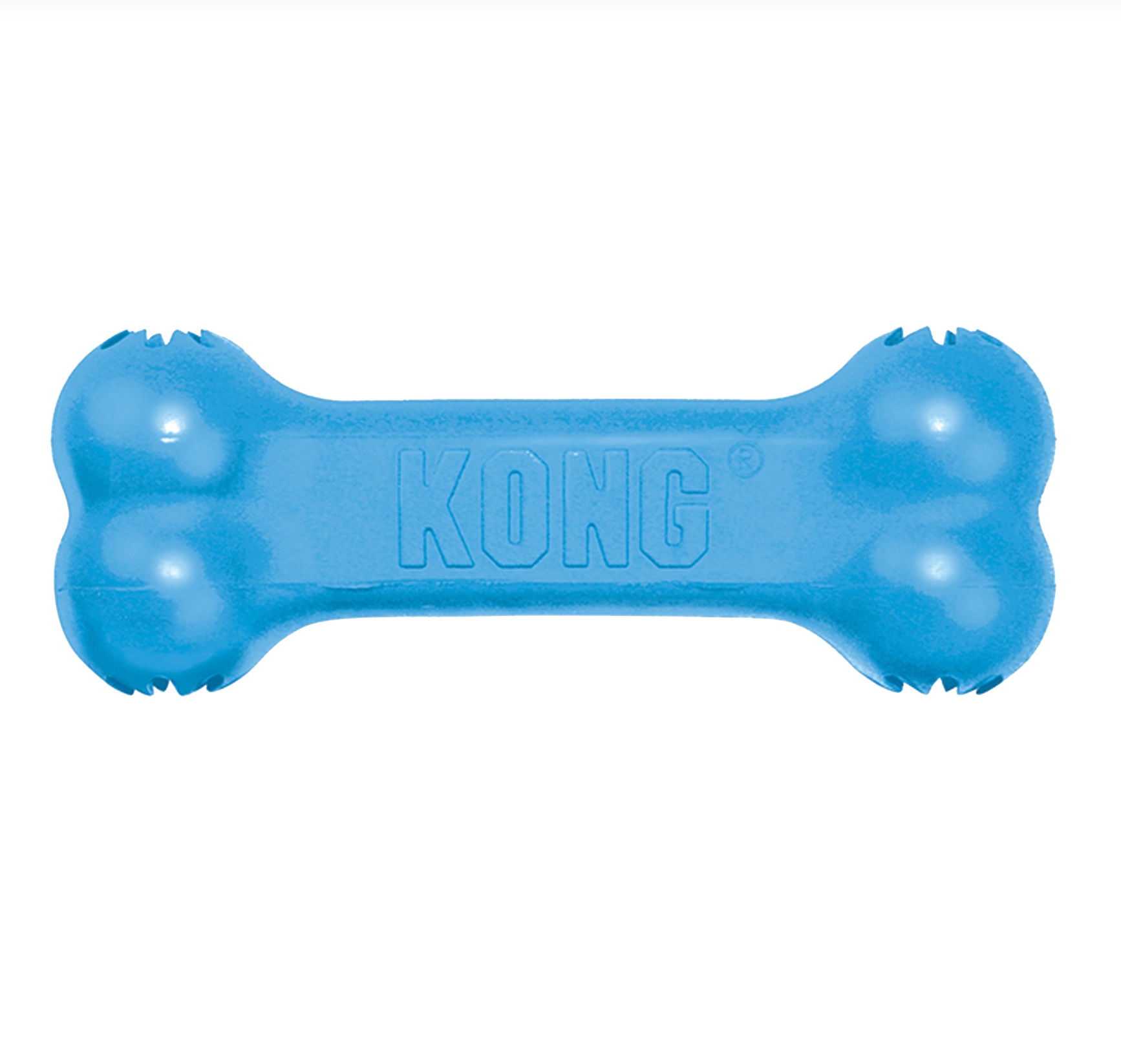 blue Kong Goodie Bone for puppies