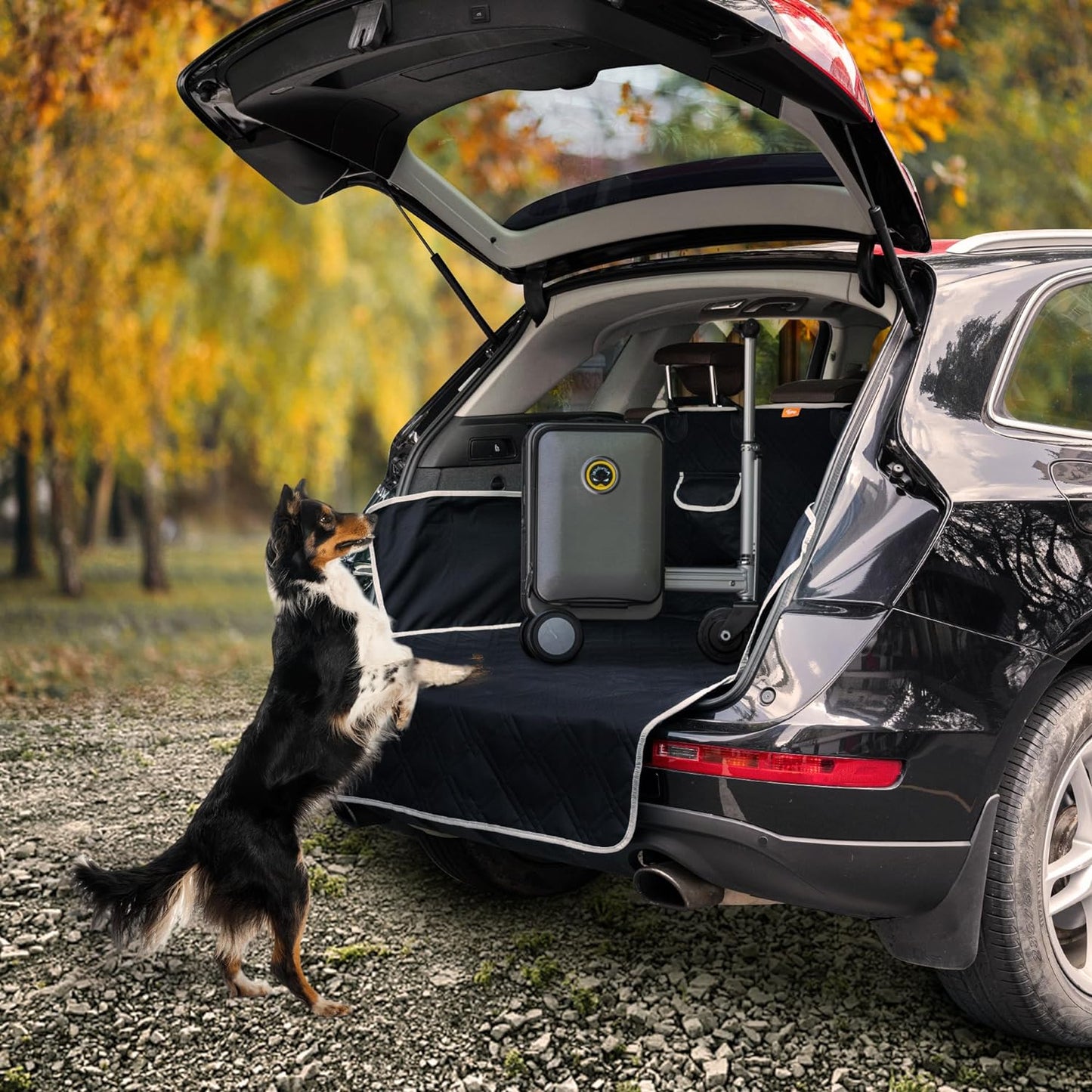 TOOZEY Premium Automotive Pet Carrier - Trunk