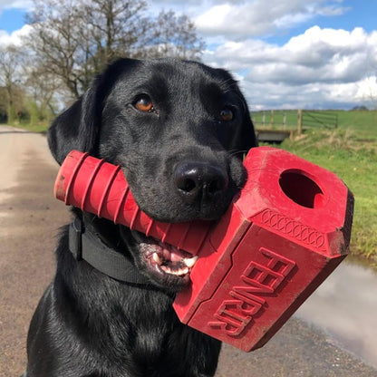 dog with red hammer toy