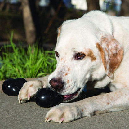 dog playing with Kong Extreme Goodie Bone dog toy