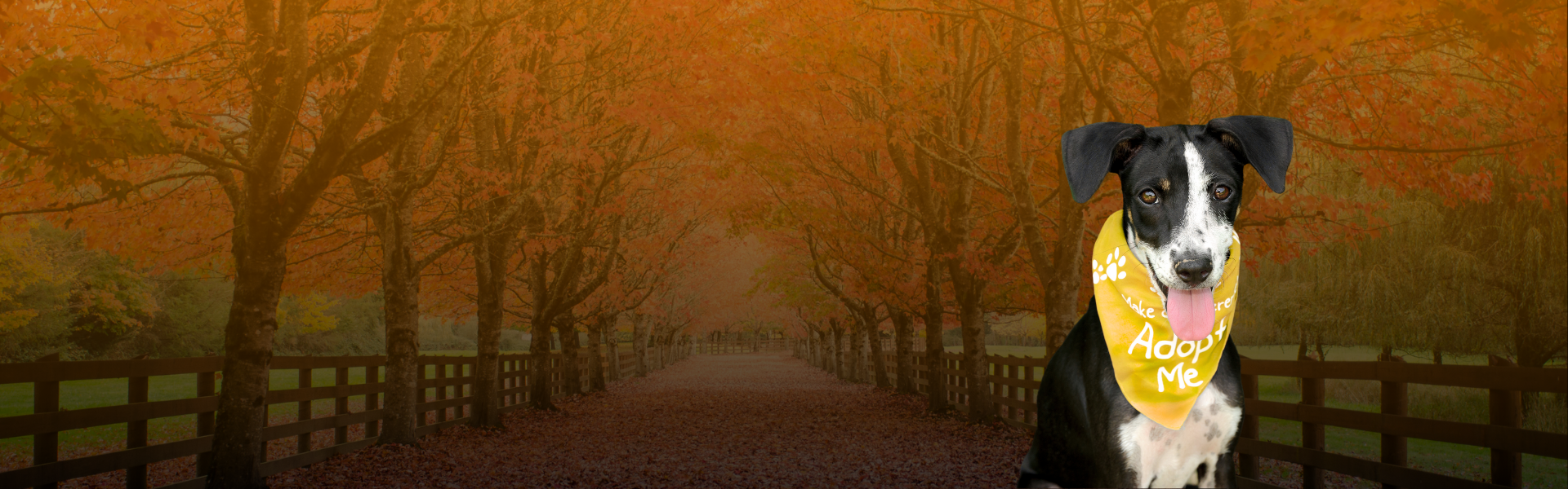 custom-slideshow-image-desktop-block_eXfXy6
