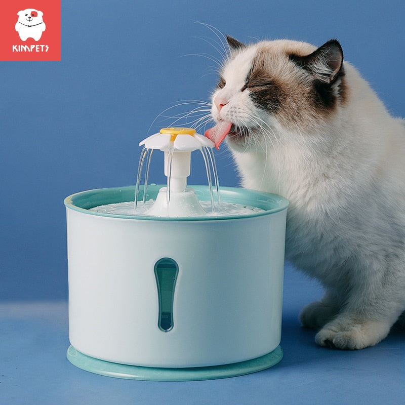 cat drinking from fountain