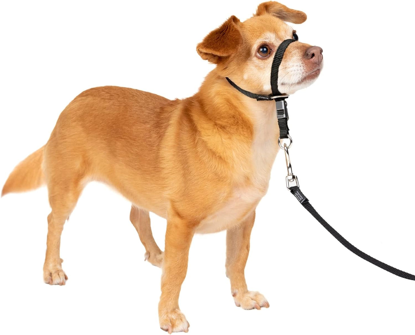 PETSAFE Gentle Leader Anti-Pull Dog Headcollar