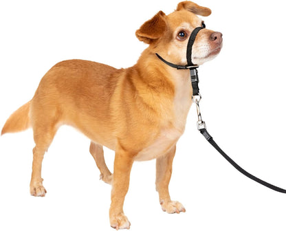 PETSAFE Gentle Leader Anti-Pull Dog Headcollar