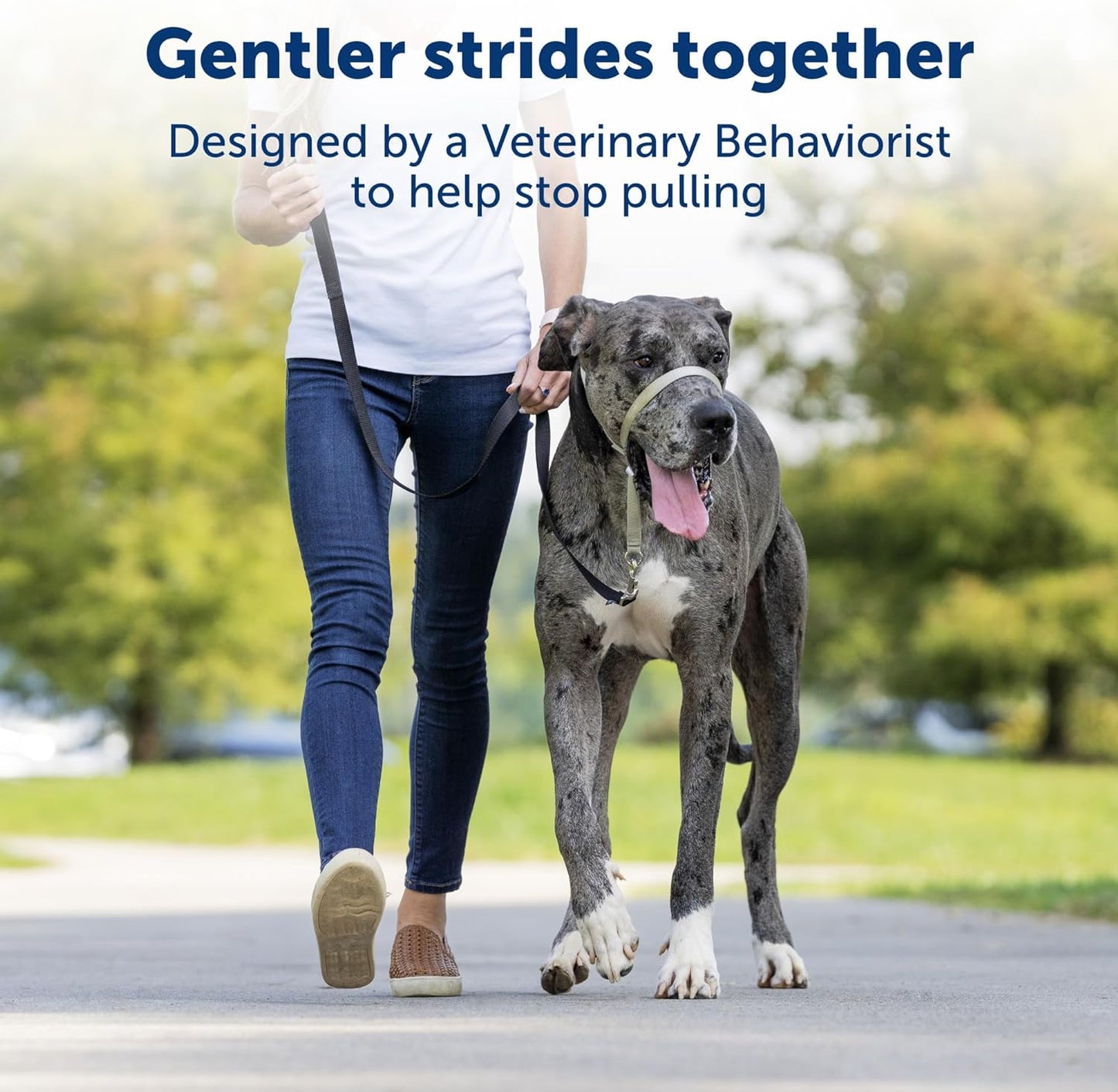 PETSAFE Gentle Leader Anti-Pull Dog Headcollar