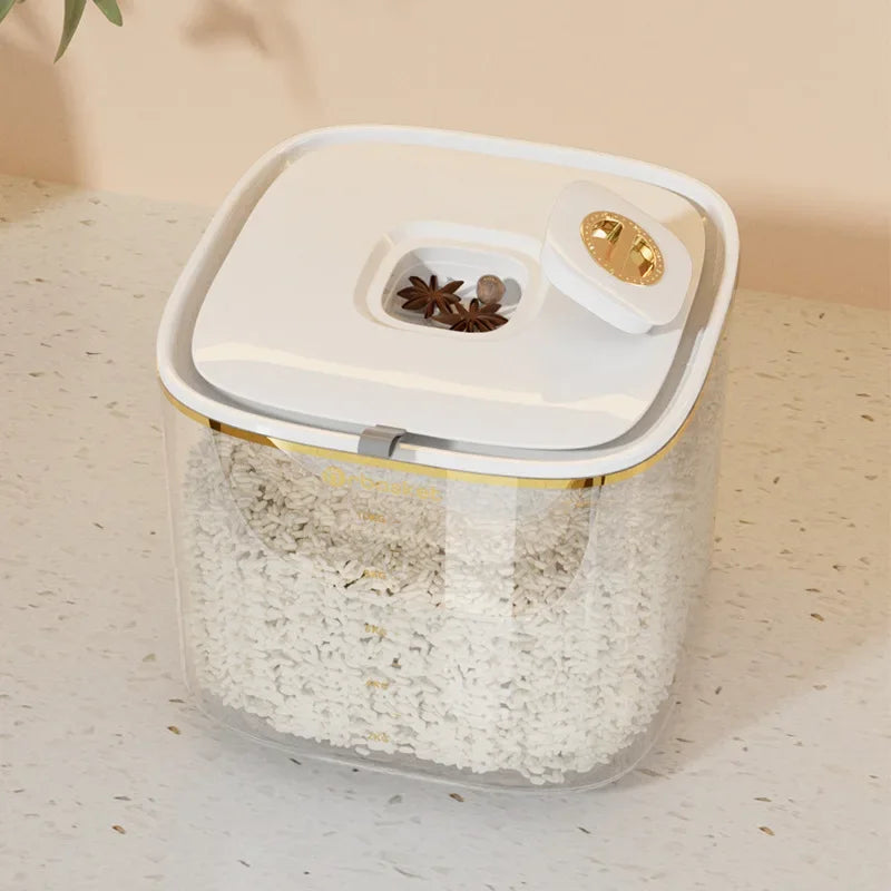 translucent dry storage container with storage space opened