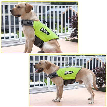 Labrador wearing a green life jacket