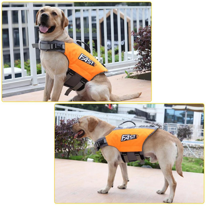 Labrador wearing an orange life jacket