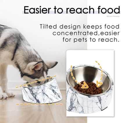 THINKPET Angled Stainless Steel Pet Bowl