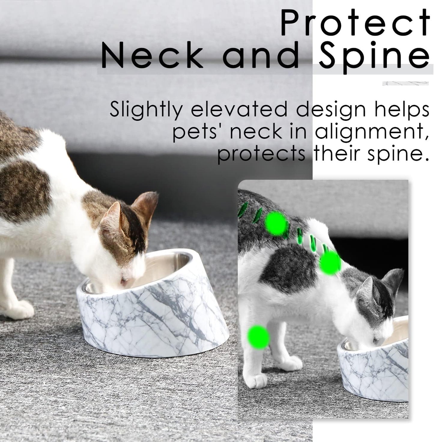 THINKPET Angled Stainless Steel Pet Bowl