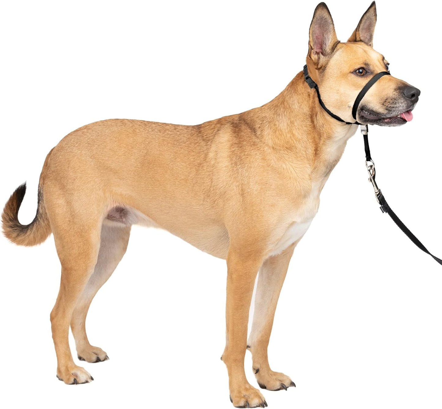 PETSAFE Gentle Leader Anti-Pull Dog Headcollar