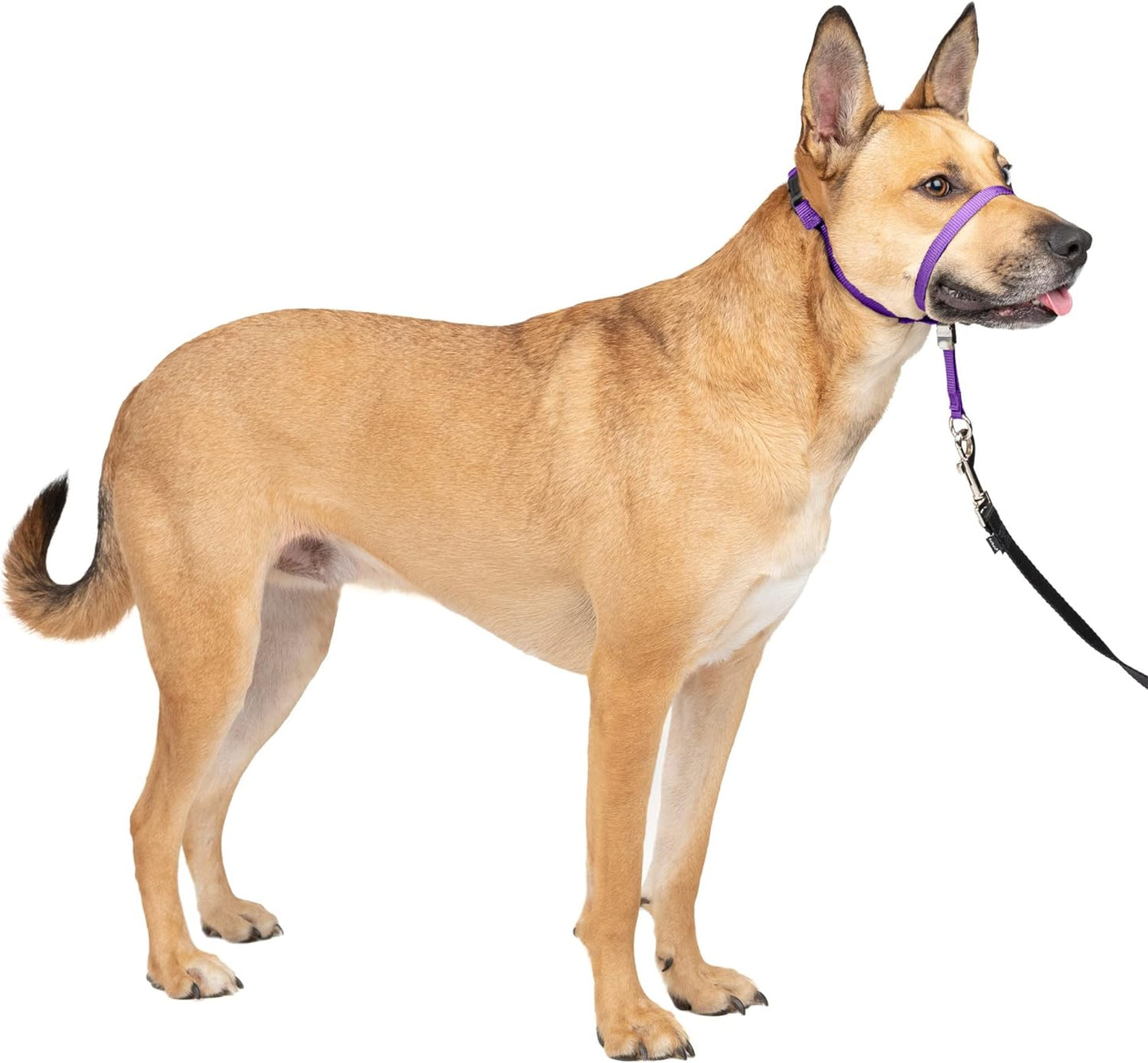 PETSAFE Gentle Leader Anti-Pull Dog Headcollar