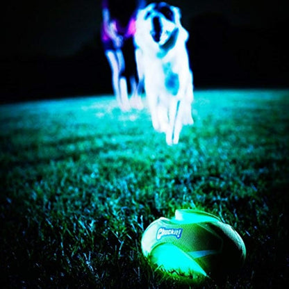 glow in the dark football dog toy