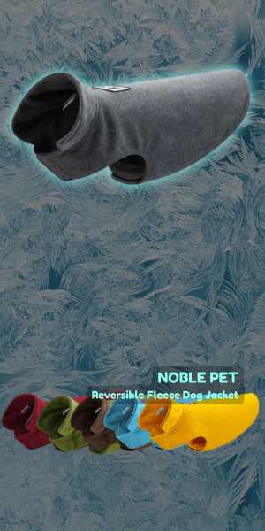 custom-slideshow-image-mobile-block_ECPzjw