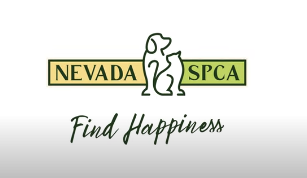 Load video: information about the Nevada SPCA