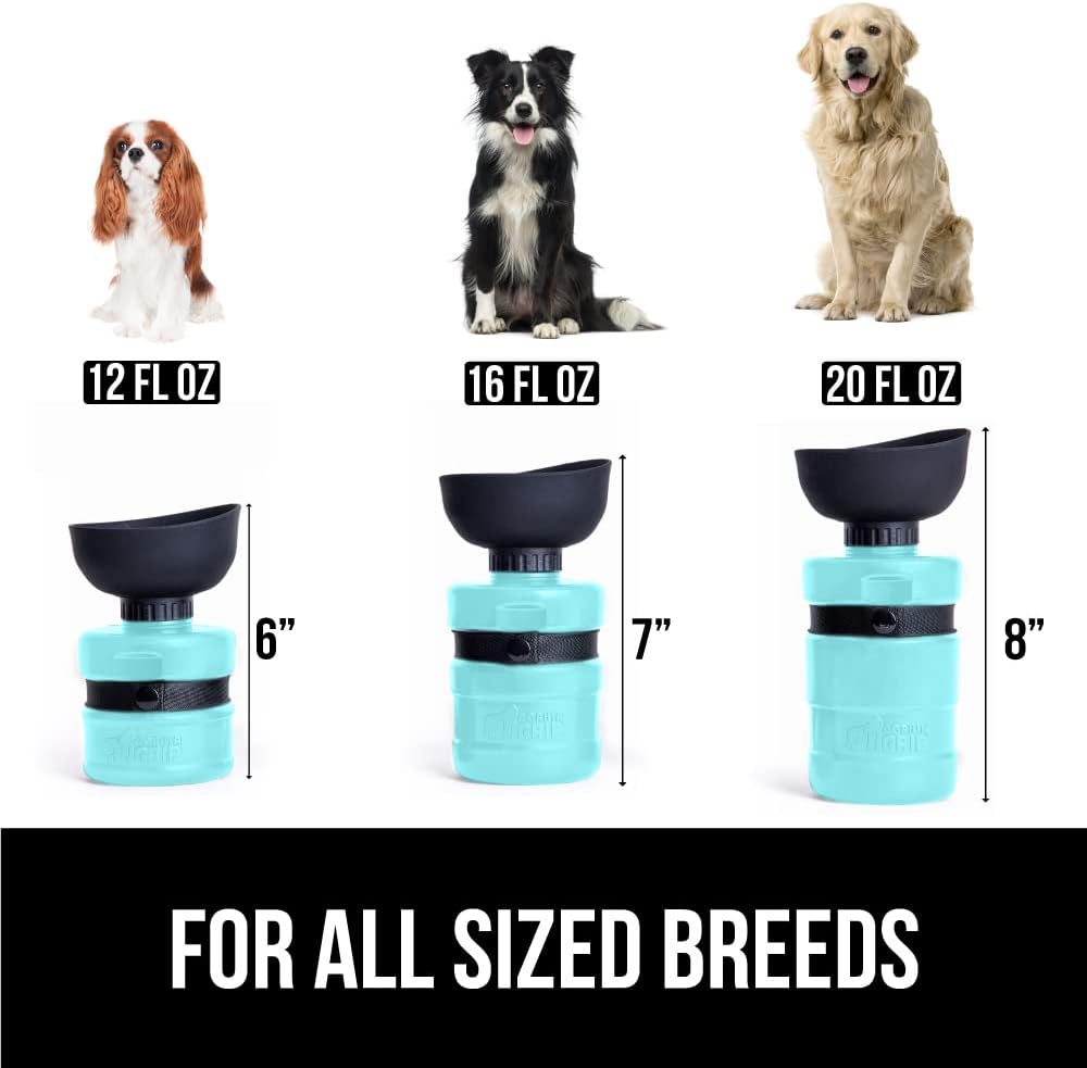 for all size dogs