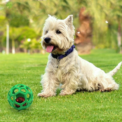 dog playing with green ball toy shown with another ball within