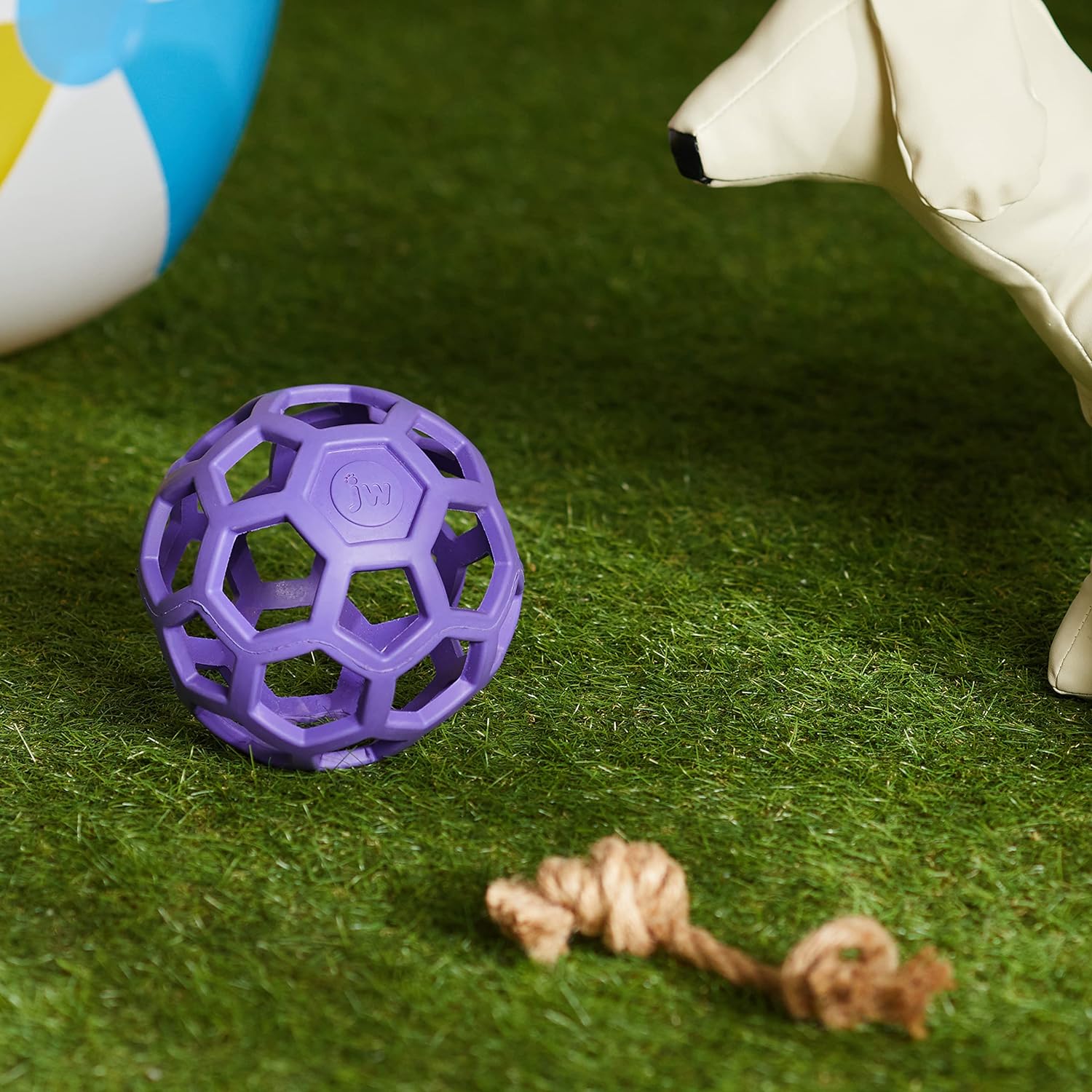 purple ball toy