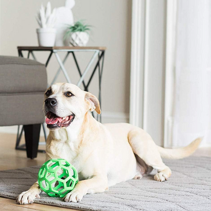 dog playing with green ball toy