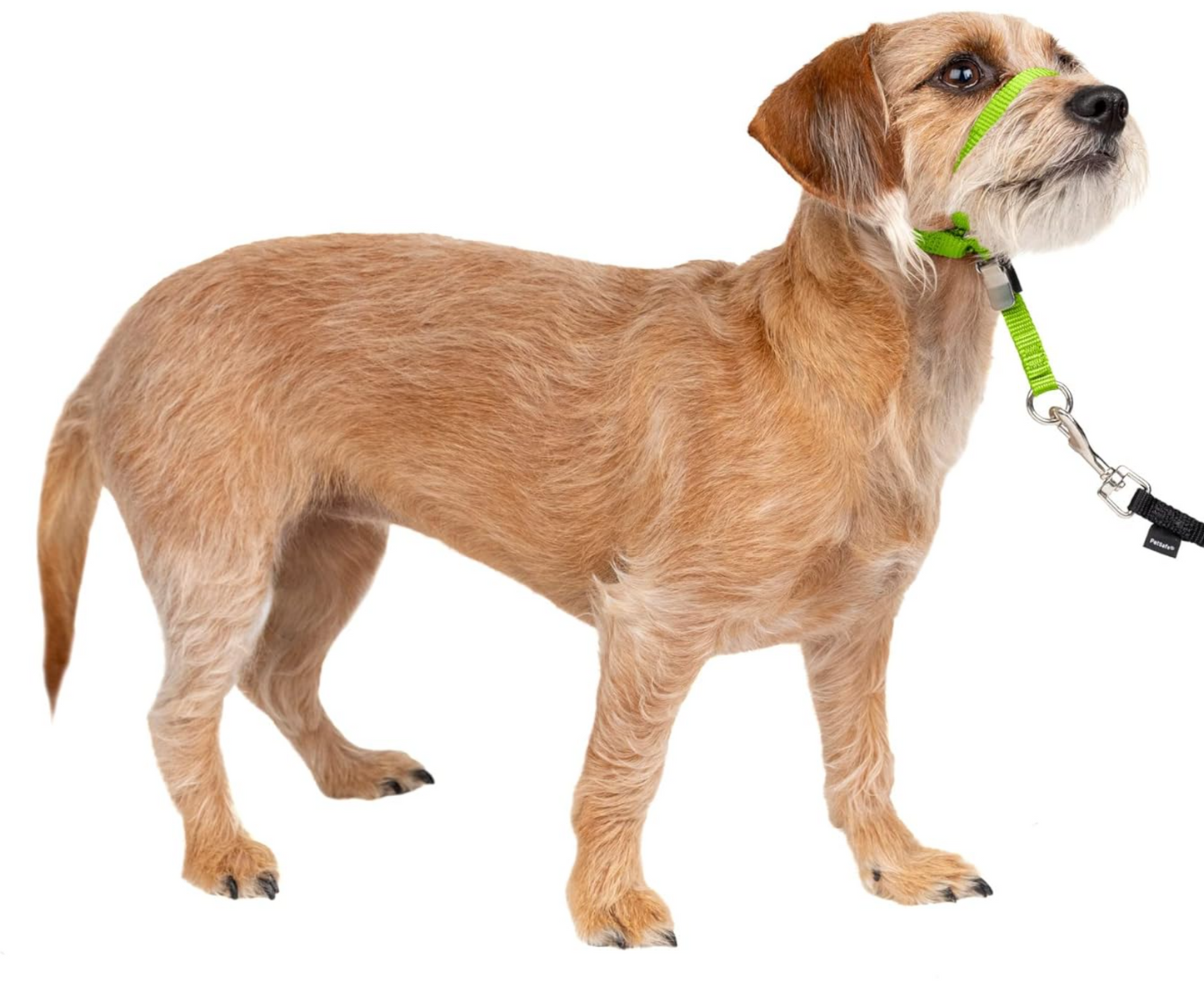 PETSAFE Gentle Leader Anti-Pull Dog Headcollar