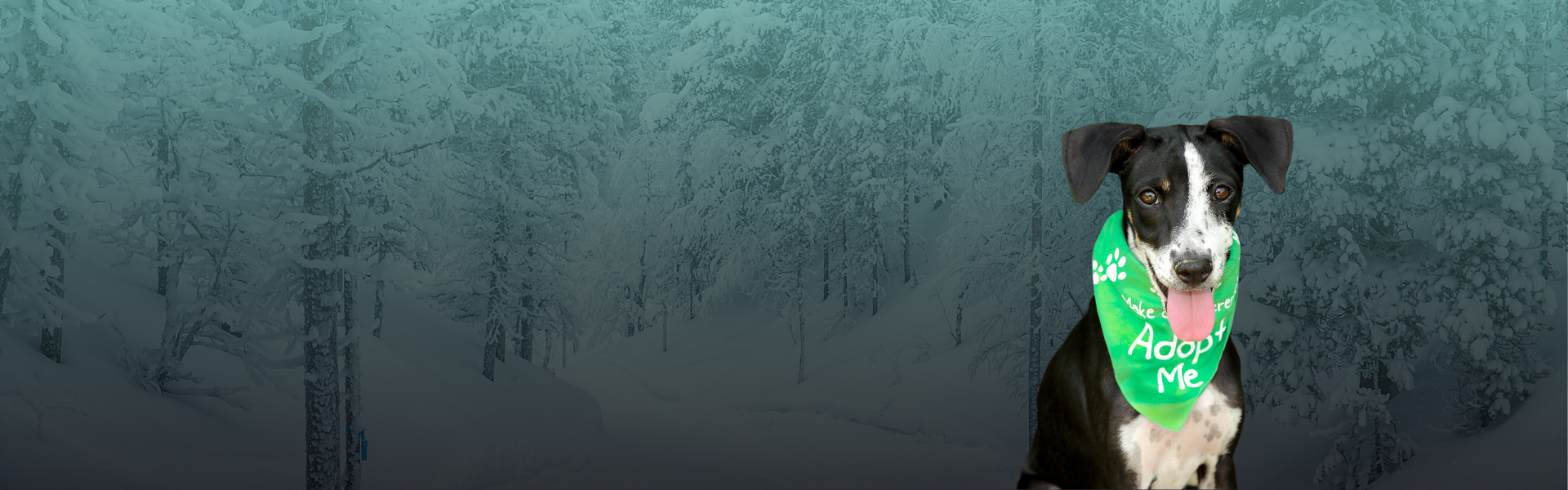 custom-slideshow-image-desktop-block_eXfXy6