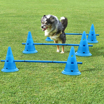 training cones for dogs