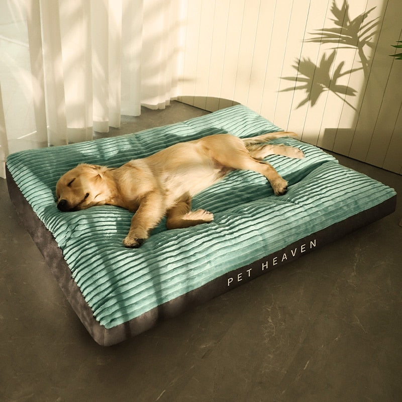 golden retriever sleeping on gray and green corduroy dog bed