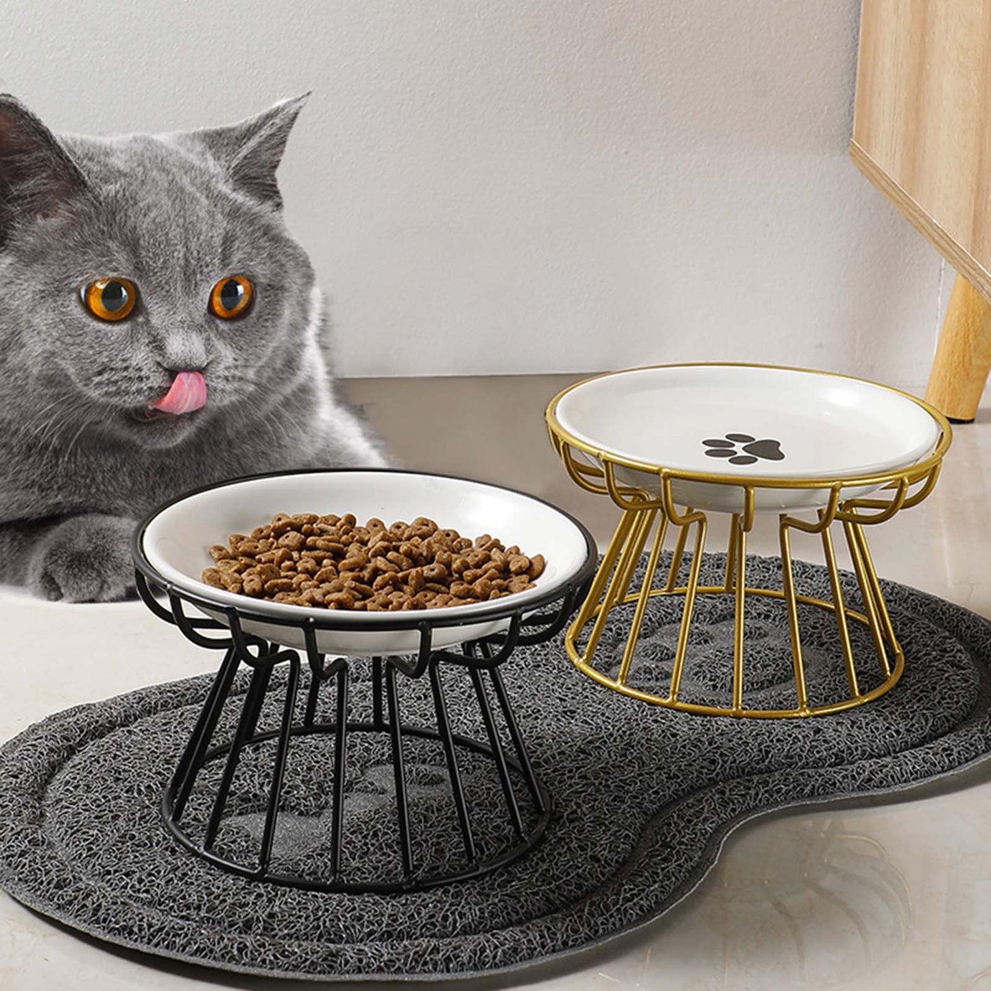 elevated pet bowl for small pets