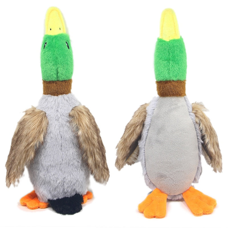 plush duck dog toy with front and back view