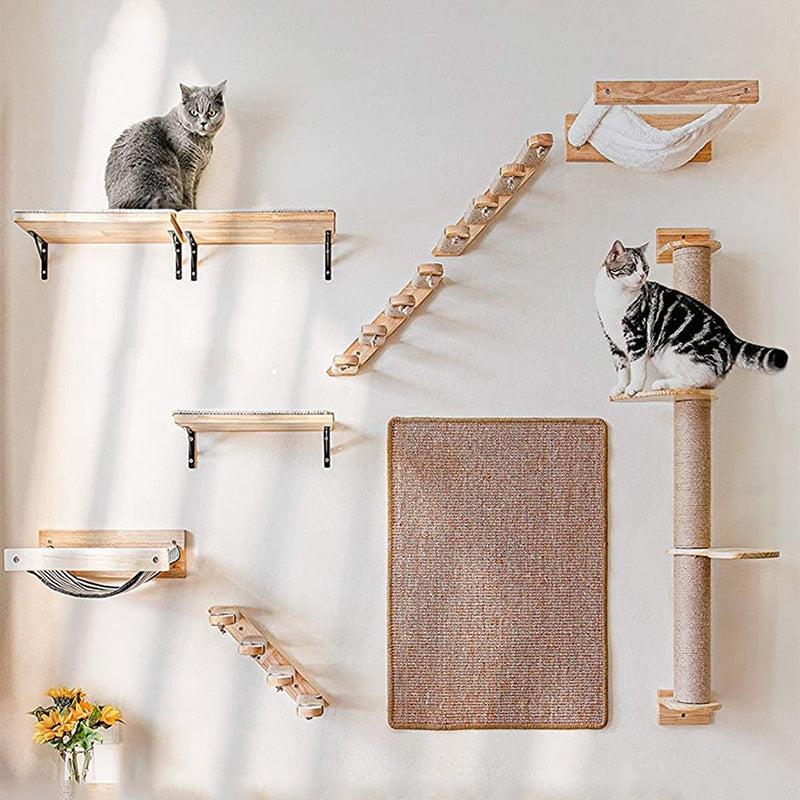 2 cats sitting atop wooden wall mounted cat furniture