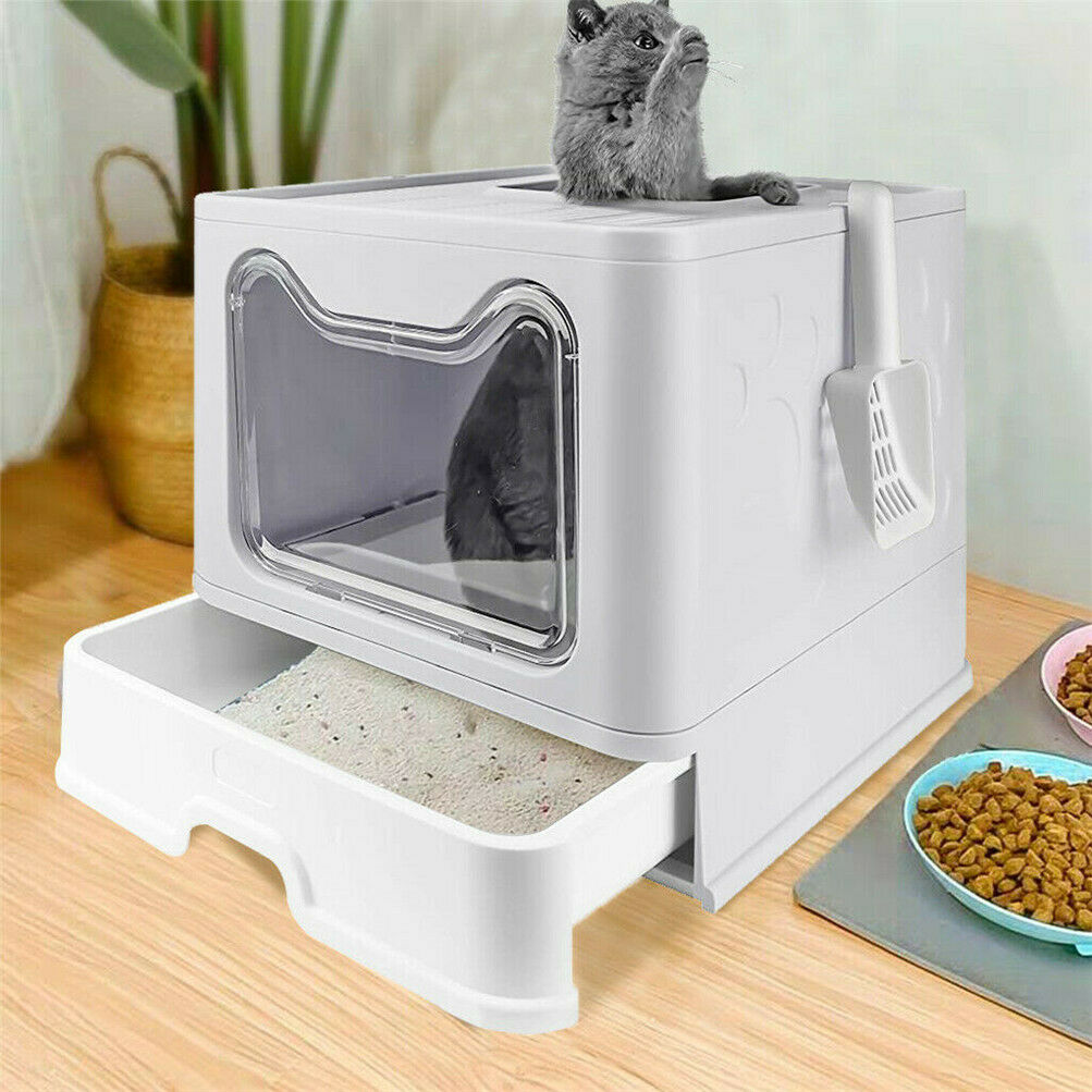 litter box shown with gray cat inside