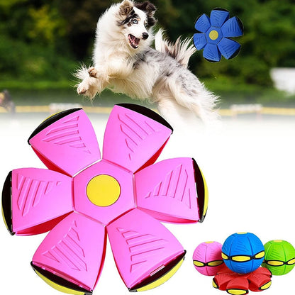 PETOPIA LED Flying Saucer Ball UFO Dog Toy